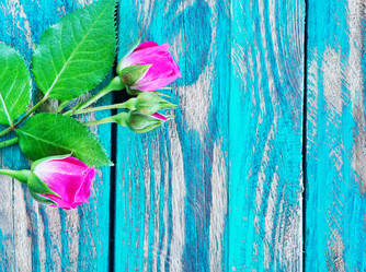 Similar image 7573336