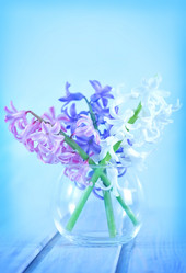 Similar image 7573344