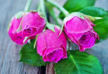 Similar image 7573596