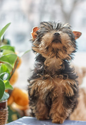 Similar image 7573726