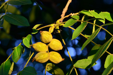 Similar image 7574126