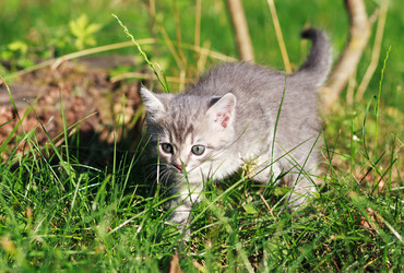 Similar image 7574139