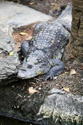 Similar image 7574266