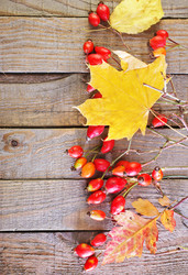 Similar image 7574494