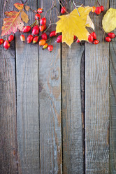 Similar image 7574496