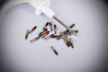 Similar image 7574635