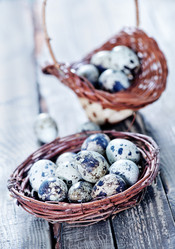 Similar image 7575667