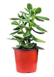 Similar image 7575725