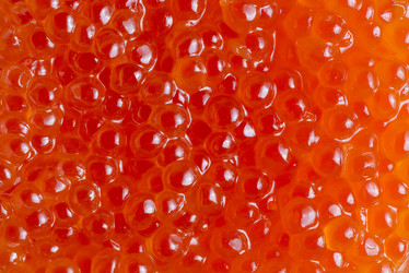 Similar image 7575847