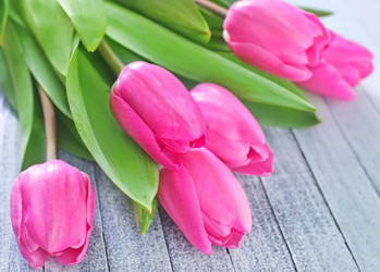 Similar image 7575889