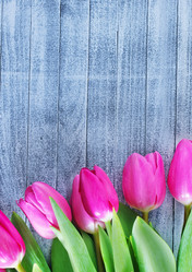 Similar image 7575902