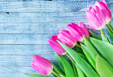 Similar image 7575903