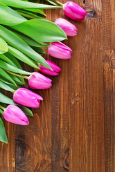 Similar image 7575928