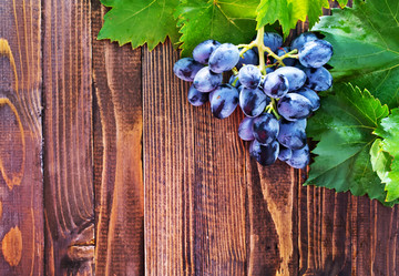 Similar image 7576129