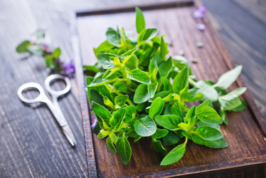 Similar image 7576211