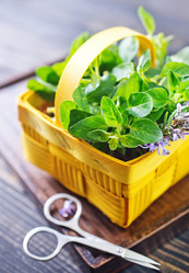 Similar image 7576218