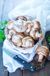 Similar image 7576322