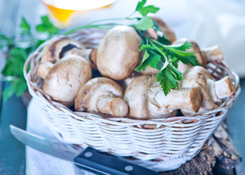 Similar image 7576330