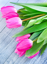 Similar image 7584184