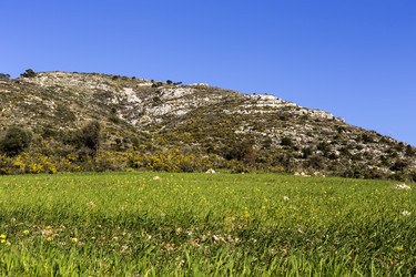 Similar image 7584198