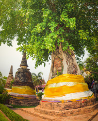 Similar image 7584276