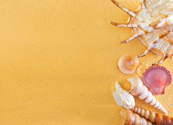 Similar image 7584549