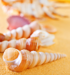 Similar image 7584550