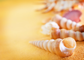 Similar image 7584554