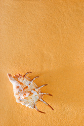 Similar image 7584564