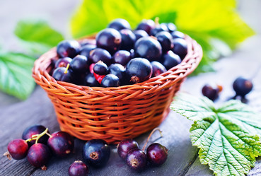 Similar image 7584618