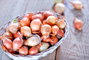 Similar image 7585032