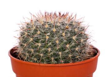 Similar image 7585106