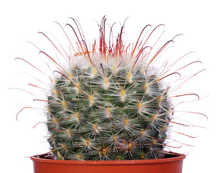 Similar image 7585107