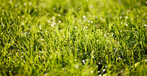 Similar image 7585127