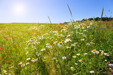 Similar image 7585128