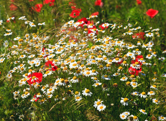 Similar image 7585129