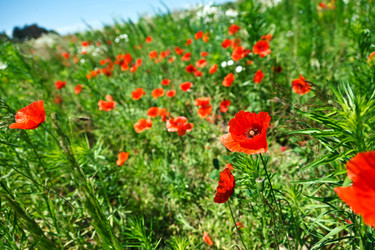 Similar image 7585133