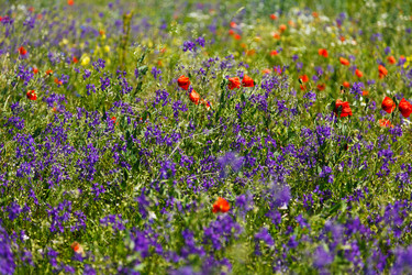 Similar image 7585143