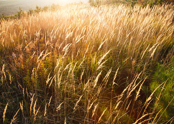 Similar image 7585156