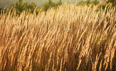 Similar image 7585157