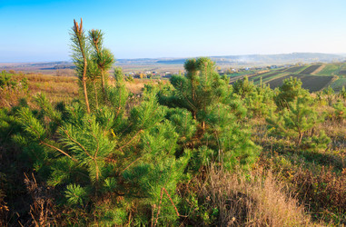 Similar image 7585158