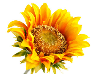 Similar image 7585239