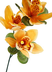 Similar image 7585243