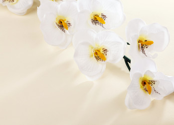 Similar image 7585334