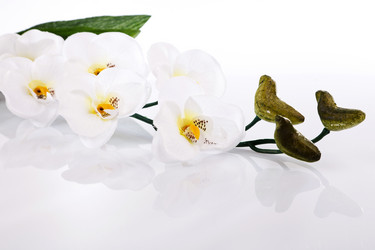 Similar image 7585342