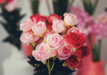 Similar image 7585364