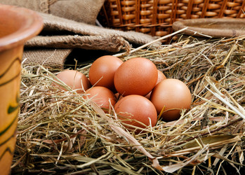 Similar image 7585602