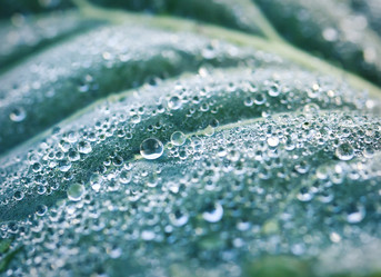 Similar image 7585664