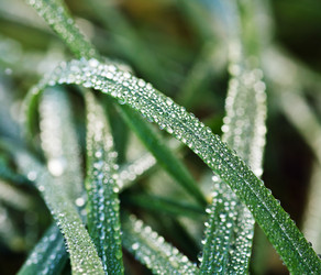 Similar image 7585675