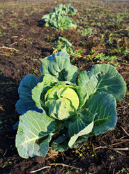 Similar image 7585676